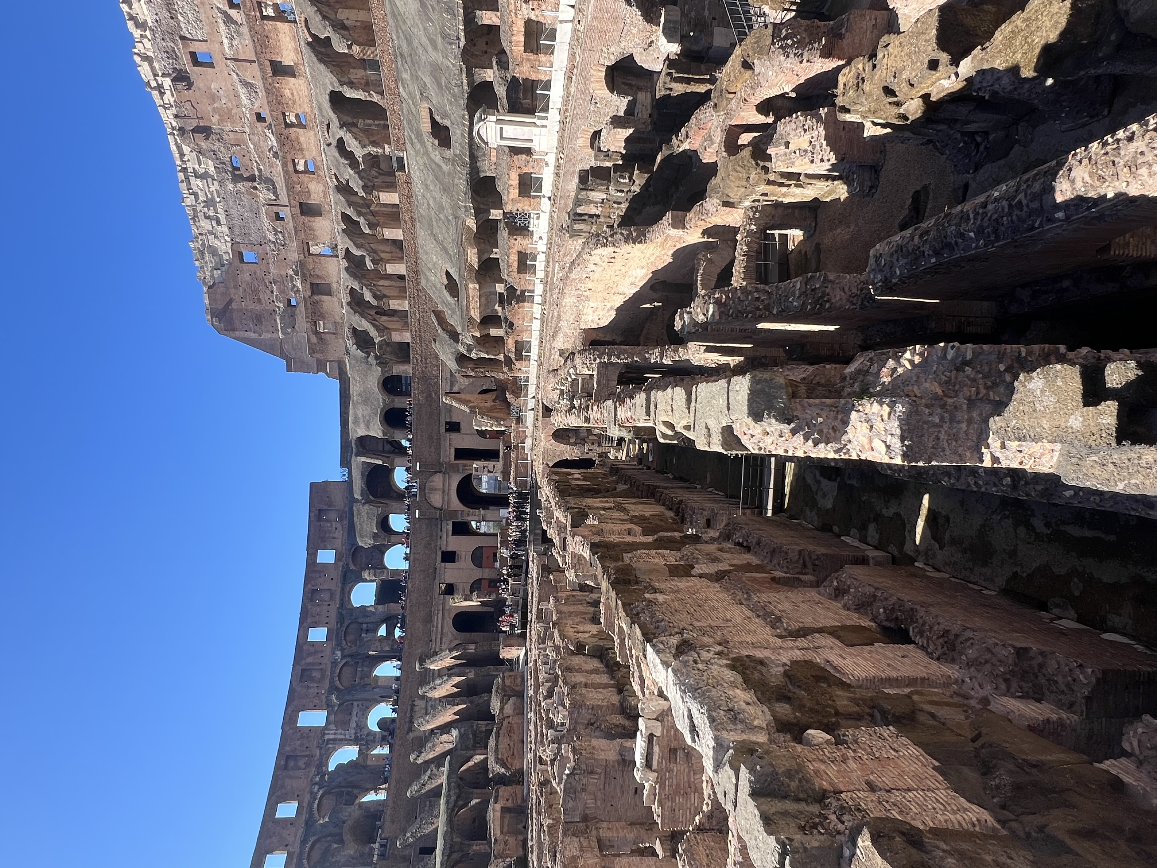 Colosseum, Roman Forum & Palatine hills Guided Tour